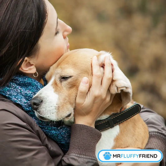 Una persona abraza suavemente a un beagle con mirada triste en un fondo natural.