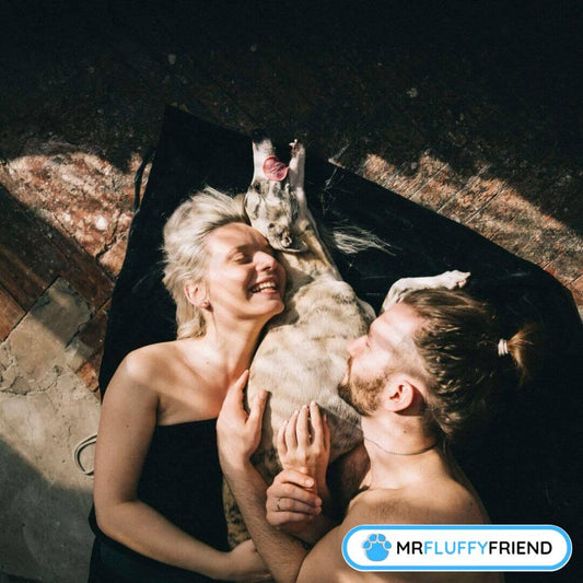 perros ansiedad de separación