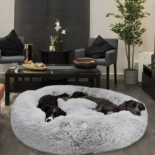 8 razones por las que personas de todo el mundo confían en esta cama para perros