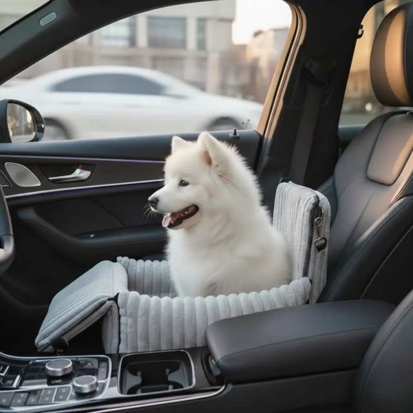 Haz que cada viaje en coche sea seguro y cómodo para tu perro