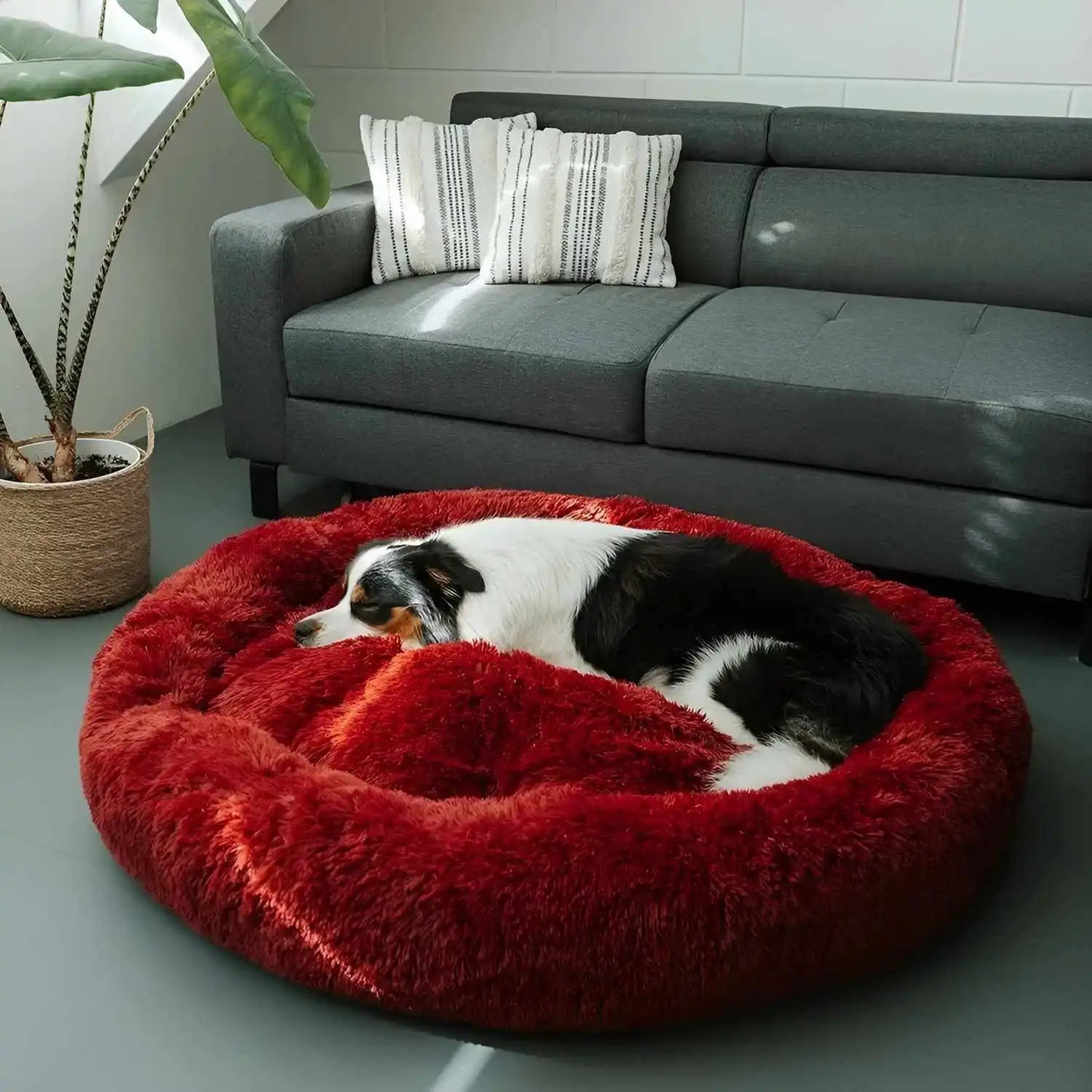 MrFluffyFriend™ - Cama antiestrés para perros