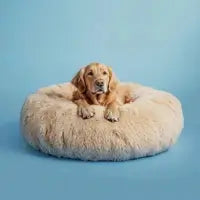 Photo of Cama antiestrés para perros