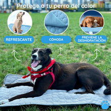 Cargar imagen en el visor de la galería, MrFluffyFriend™ - Manta refrescante para perros
