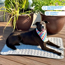 Cargar imagen en el visor de la galería, MrFluffyFriend™ - Manta refrescante para perros
