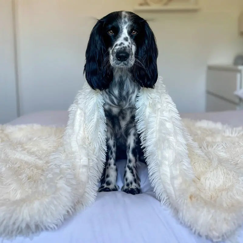 MrFluffyFriend™ - Manta de Peluche para Mascotas