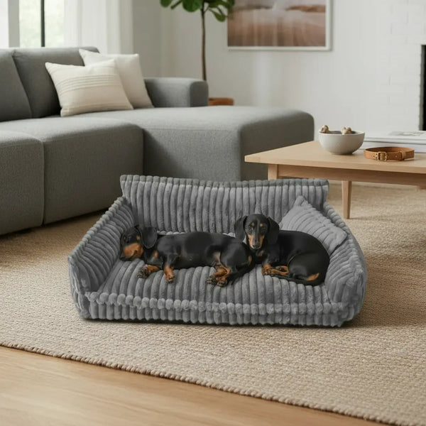 ¿Quieres darle a tu perro el confort que se merece?