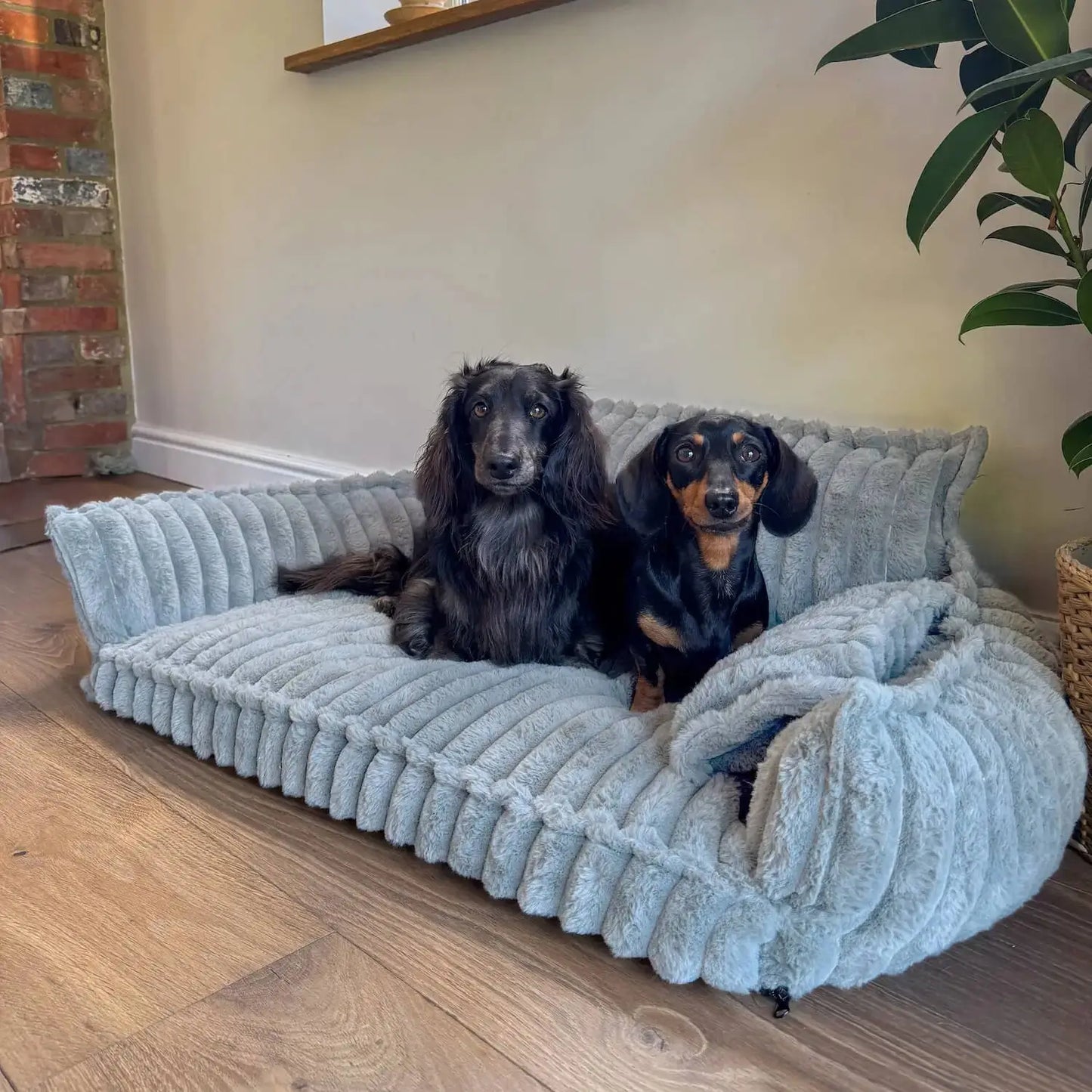 Cama Para Perros Sin Ansiedad De MrFluffyFriend
