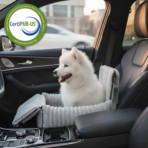 Haz que cada viaje en coche sea seguro y cómodo para tu perro